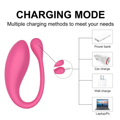 MARY-Wireless Love Bird Usb Recharge Silicone Bullet Egg Vibrator Wireless With Remote Sex Toy for Women