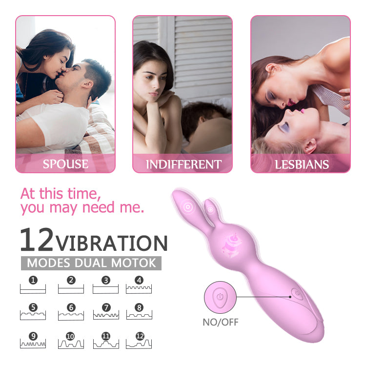 EMILY-New Design IPX5 Waterproof 12 Mode Silicone Adult Sex Toys Rabbit Vibrator for Women